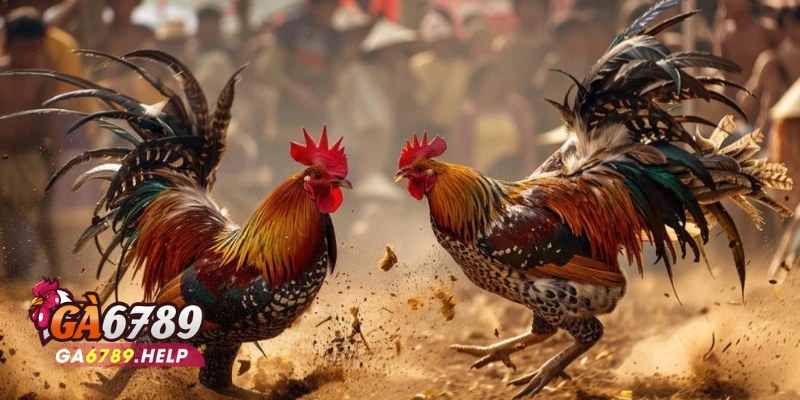Khuyến Mãi Ga6789: Cơ Hội Vàng Cho Người Chơi 2 Khuyến Mãi Ga6789
