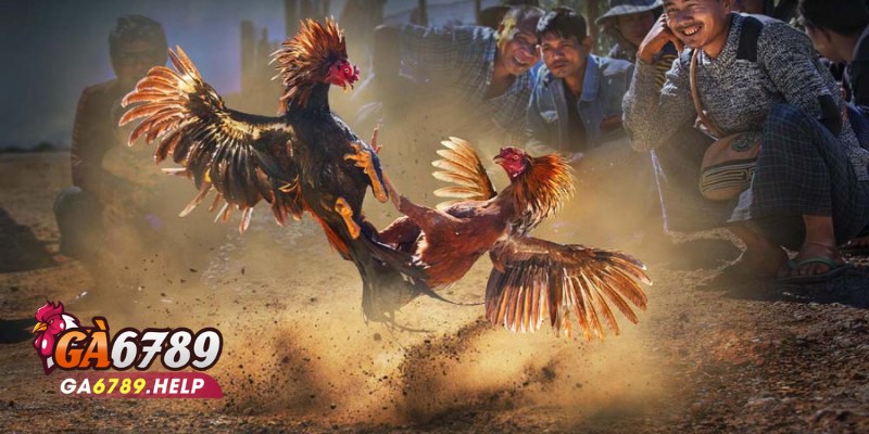 Khuyến Mãi Ga6789: Cơ Hội Vàng Cho Người Chơi 3 Khuyến Mãi Ga6789