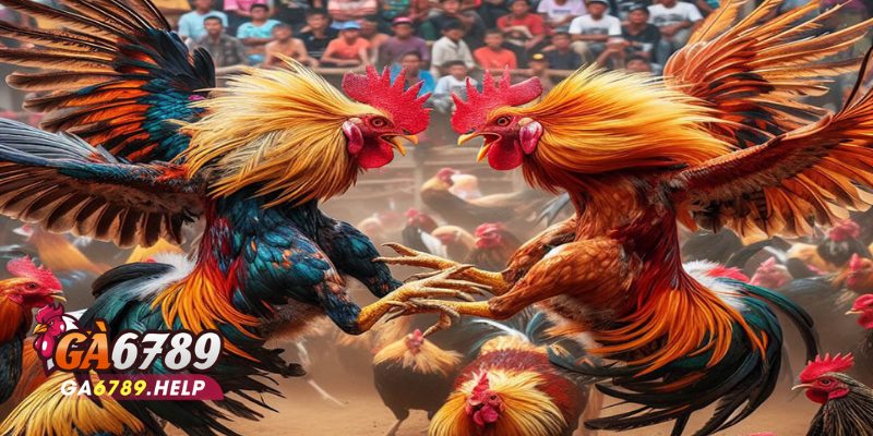 Tải App Ga6789 Cho iOS Và Android: Đừng Bỏ Lỡ! 1 Tải App Ga6789 Cho iOS Và Android