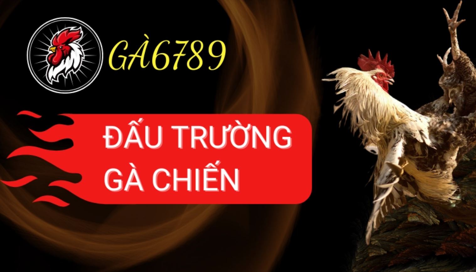 Ga6789 - Nhà Cái Đá Gà Trực Tuyến Đẳng Cấp Nhất 2025 1 Nhà cái Ga6789