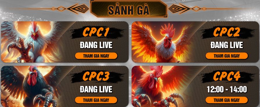 Các sảnh cược đá gà trực tuyến tại Ga6789 (CPC1, CPC2, CPC3, CPC4)